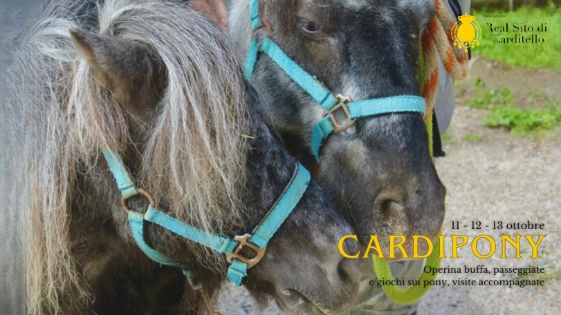 Cardipony