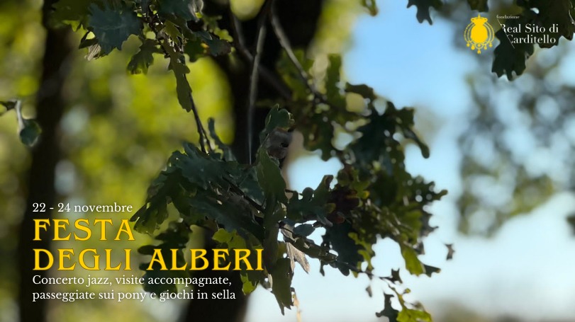 Festa degli alberi